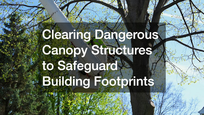 Clearing Dangerous Canopy Structures to Safeguard Building Footprints