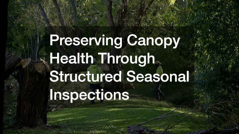 Preserving Canopy Health Through Structured Seasonal Inspections