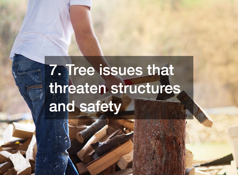 7. Tree issues that threaten structures and safety