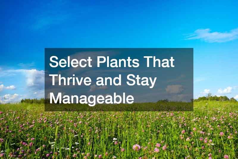Select Plants That Thrive and Stay Manageable