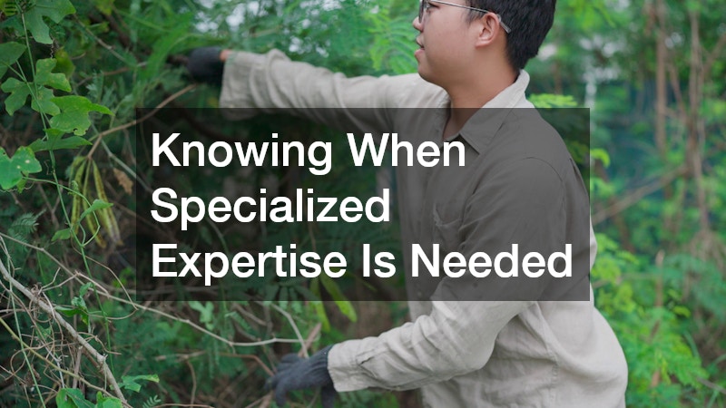 Knowing When Specialized Expertise Is Needed