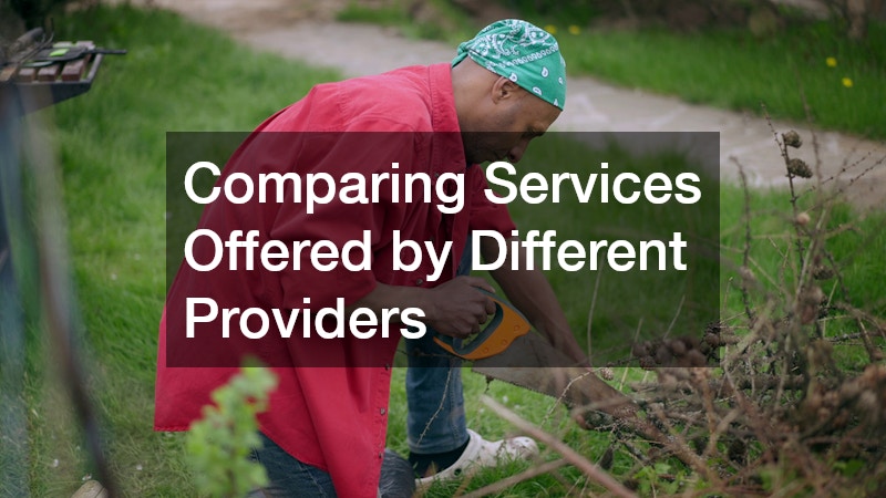 Comparing Services Offered by Different Providers