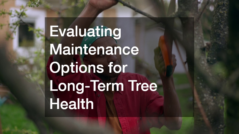 Evaluating Maintenance Options for Long-Term Tree Health