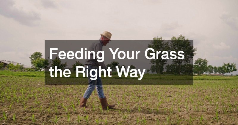 Feeding Your Grass the Right Way