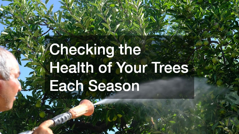 Checking the Health of Your Trees Each Season