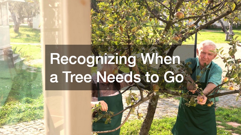 Recognizing When a Tree Needs to Go