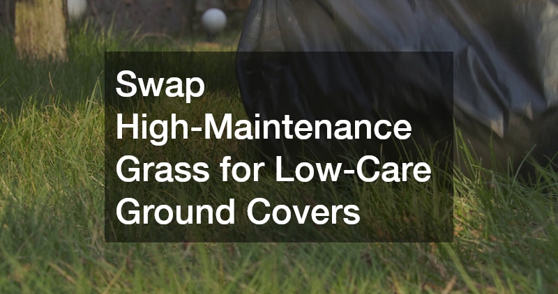 Swap High-Maintenance Grass for Low-Care Ground Covers