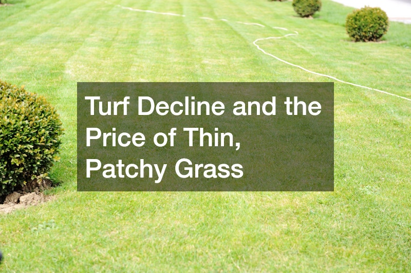 Turf Decline and the Price of Thin, Patchy Grass