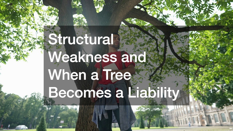 Structural Weakness and When a Tree Becomes a Liability