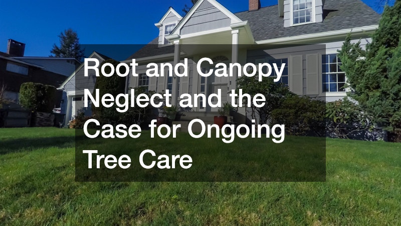 Root and Canopy Neglect and the Case for Ongoing Tree Care