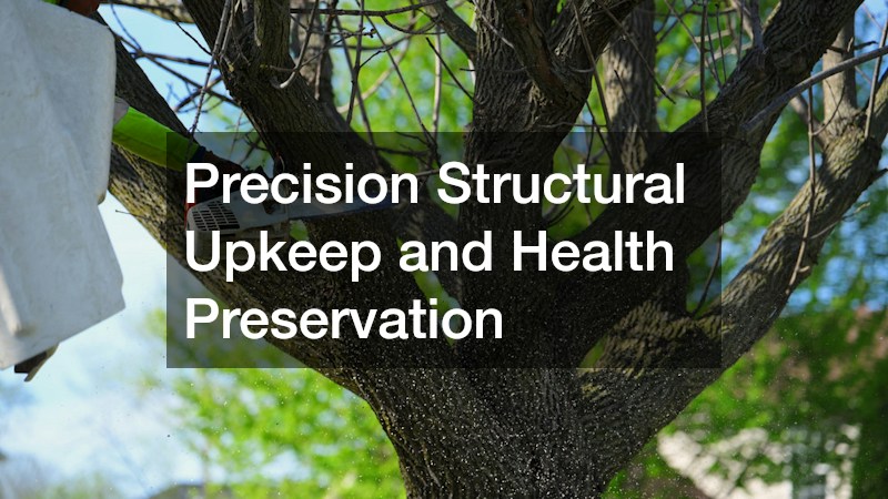 Precision Structural Upkeep and Health Preservation