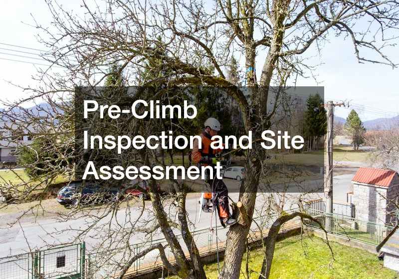 Pre-Climb Inspection and Site Assessment