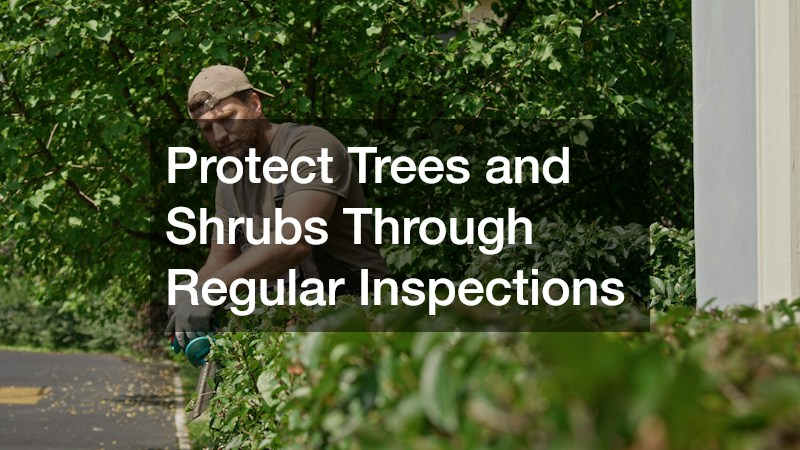 Protect Trees and Shrubs Through Regular Inspections
