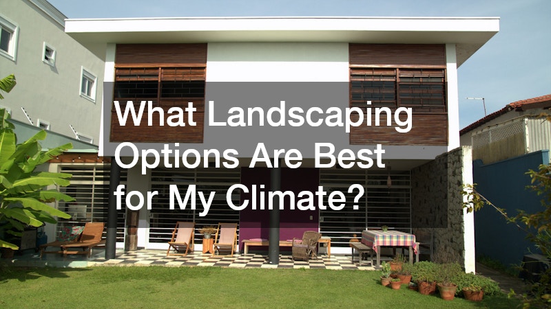 What Landscaping Options Are Best for My Climate?