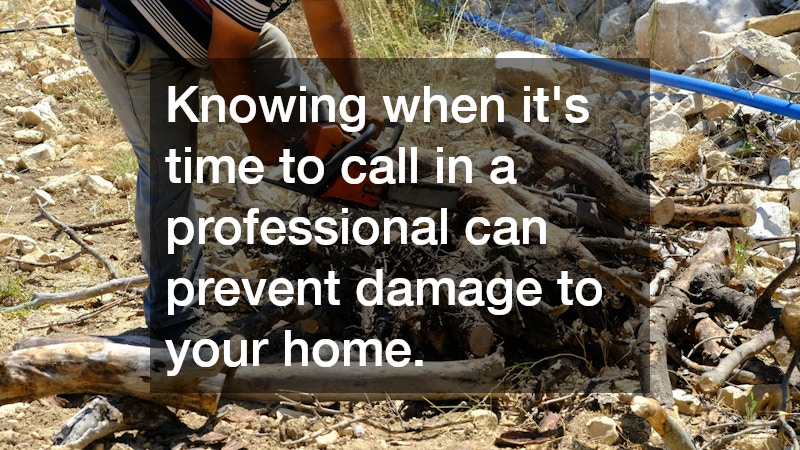 Knowing when it’s time to call in a professional can prevent damage to your home.