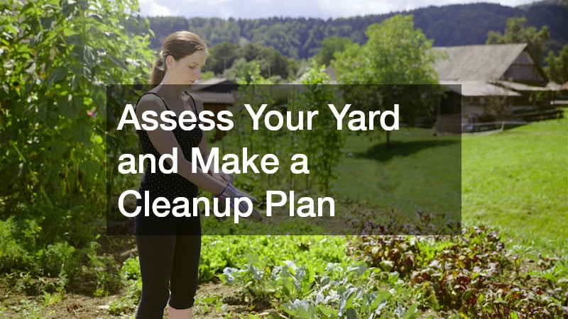 Assess Your Yard and Make a Cleanup Plan