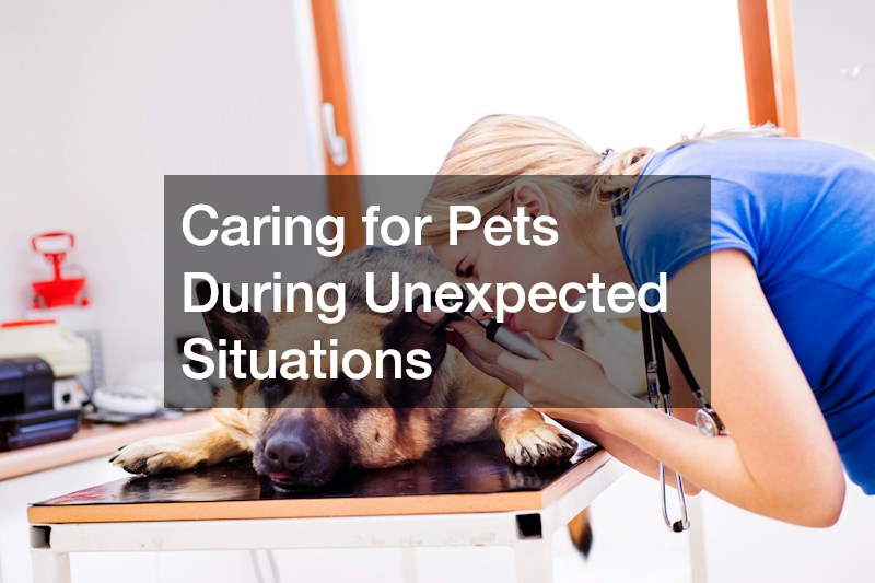 Caring for Pets During Unexpected Situations