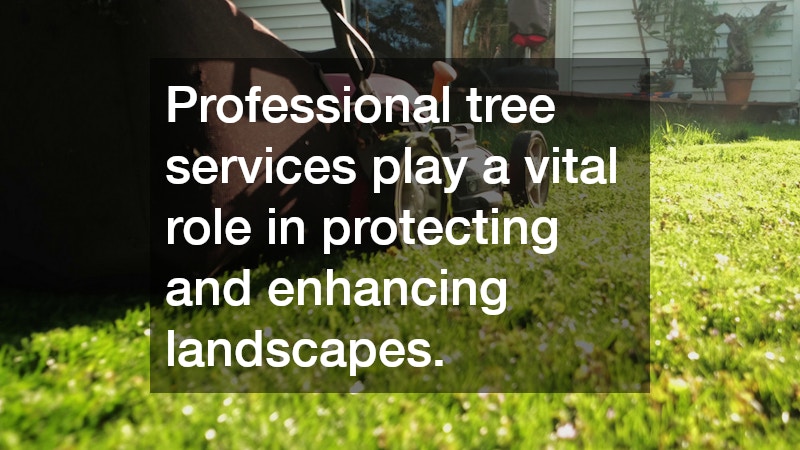 Professional tree services play a vital role in protecting and enhancing landscapes.