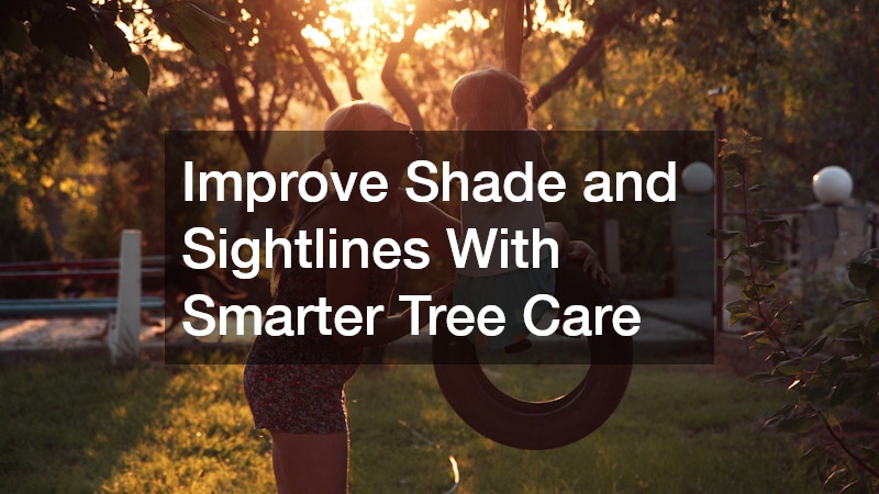 Improve Shade and Sightlines With Smarter Tree Care
