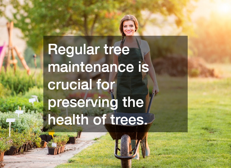Regular tree maintenance is crucial for preserving the health of trees.