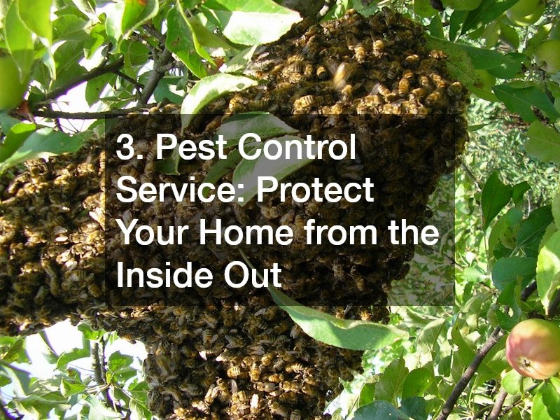 3. Pest Control Service: Protect Your Home from the Inside Out