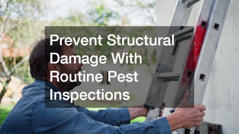 Prevent Structural Damage With Routine Pest Inspections