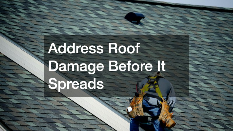 Address Roof Damage Before It Spreads