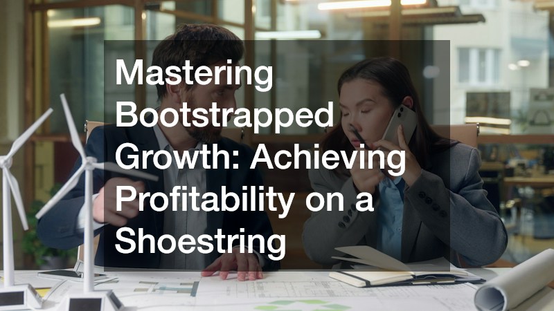 Mastering Bootstrapped Growth: Achieving Profitability on a Shoestring