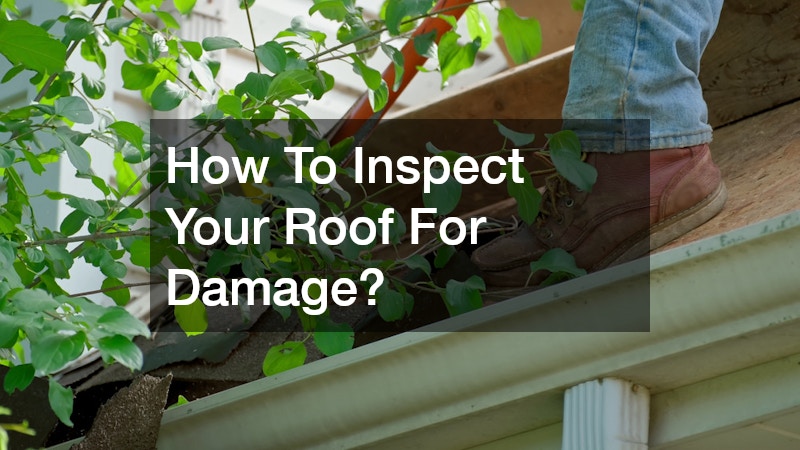 How To Inspect Your Roof For Damage?