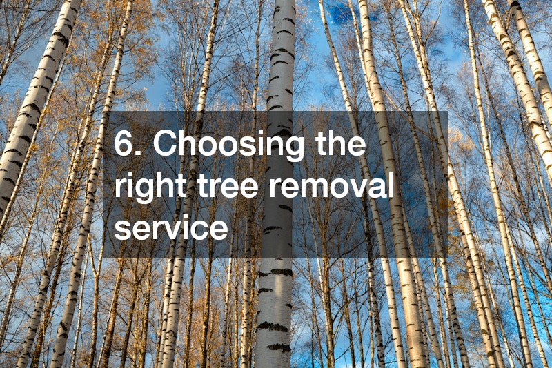 6. Choosing the right tree removal service