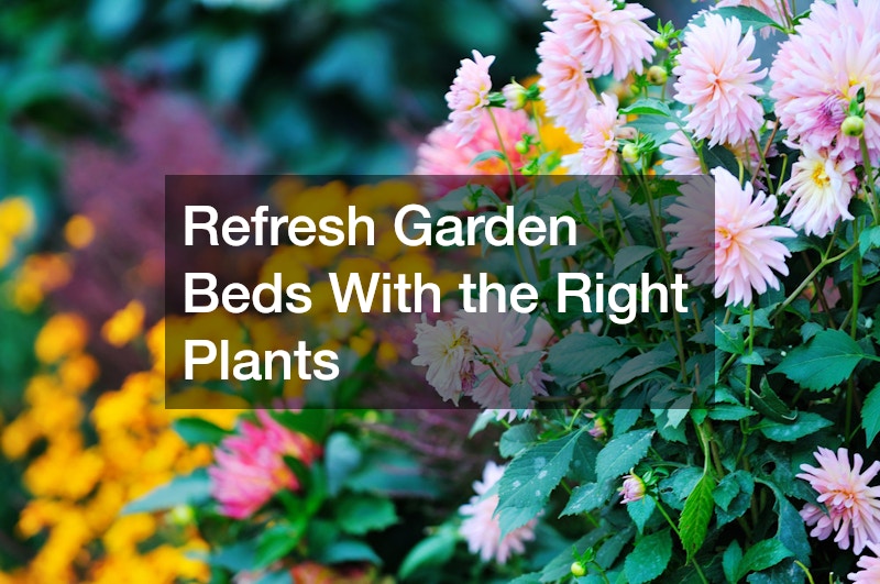 Refresh Garden Beds With the Right Plants