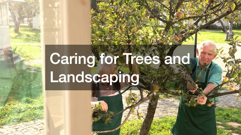 Caring for Trees and Landscaping
