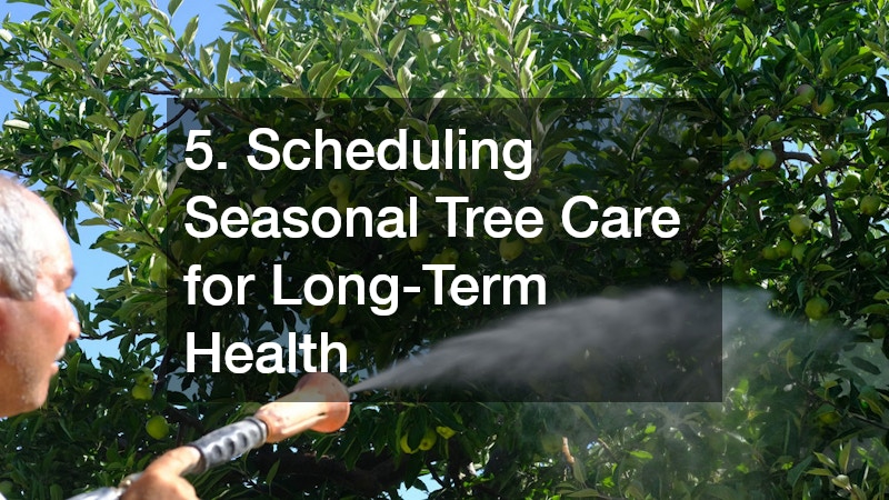 5. Scheduling Seasonal Tree Care for Long-Term Health