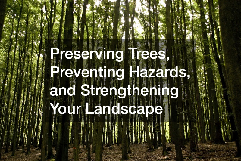 Preserving Trees, Preventing Hazards, and Strengthening Your Landscape