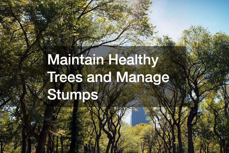 Maintain Healthy Trees and Manage Stumps