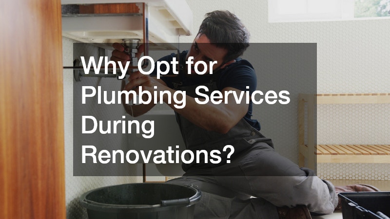Why Opt for Plumbing Services During Renovations?