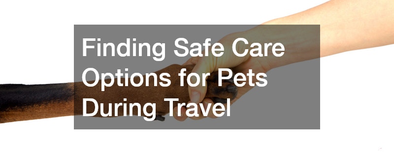 Finding Safe Care Options for Pets During Travel