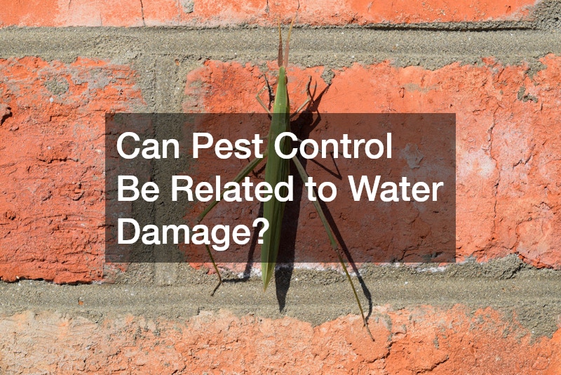 Can Pest Control Be Related to Water Damage?