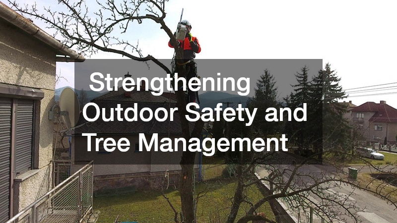  Strengthening Outdoor Safety and Tree Management