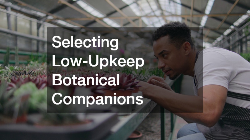 Selecting Low-Upkeep Botanical Companions