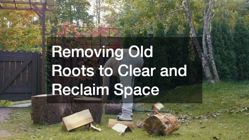Removing Old Roots to Clear and Reclaim Space