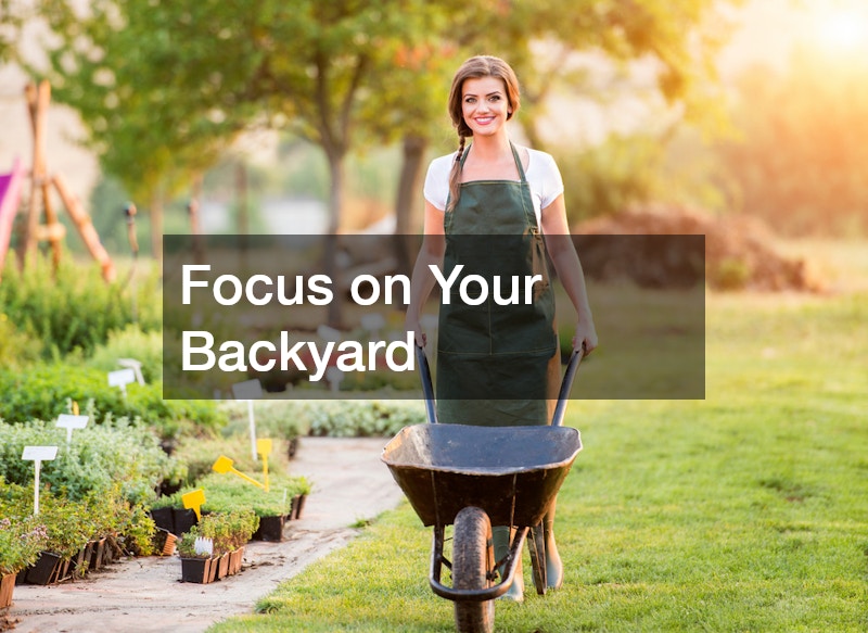 Focus on Your Backyard