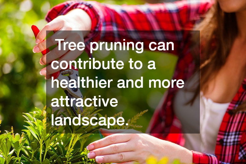 Tree pruning can contribute to a healthier and more attractive landscape.