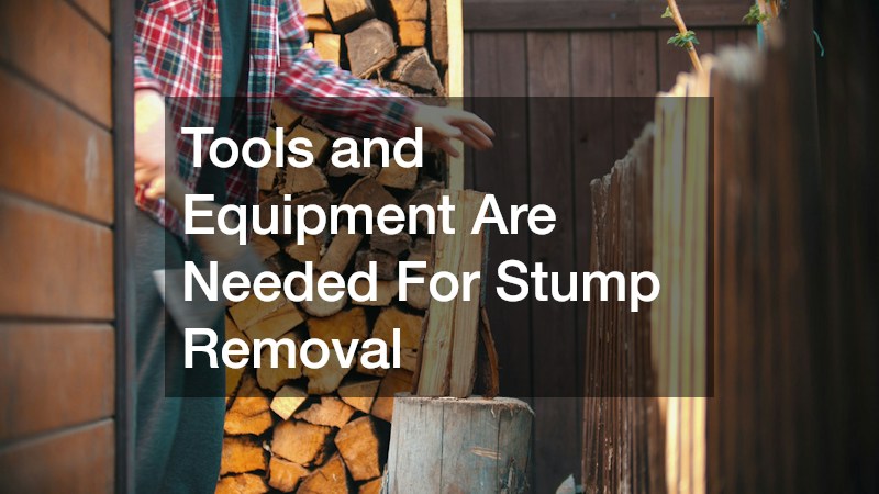 Tools and Equipment Are Needed For Stump Removal