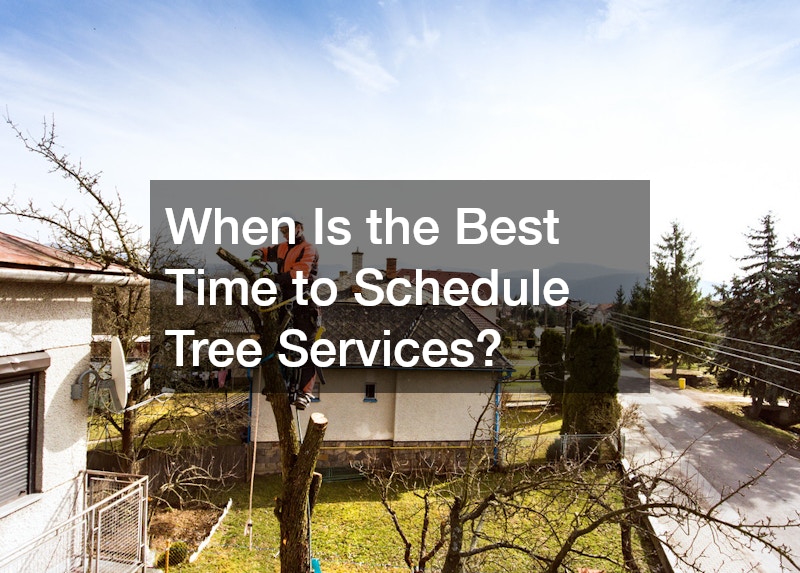 When Is the Best Time to Schedule Tree Services?