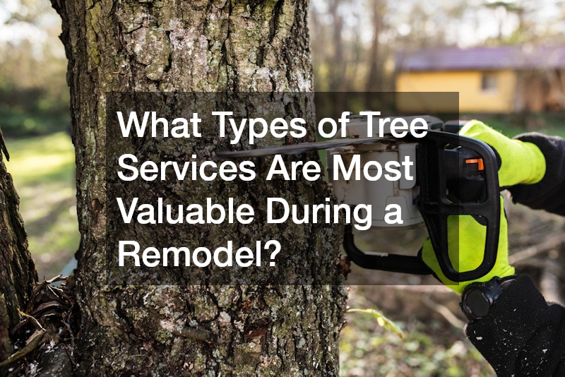 What Types of Tree Services Are Most Valuable During a Remodel?
