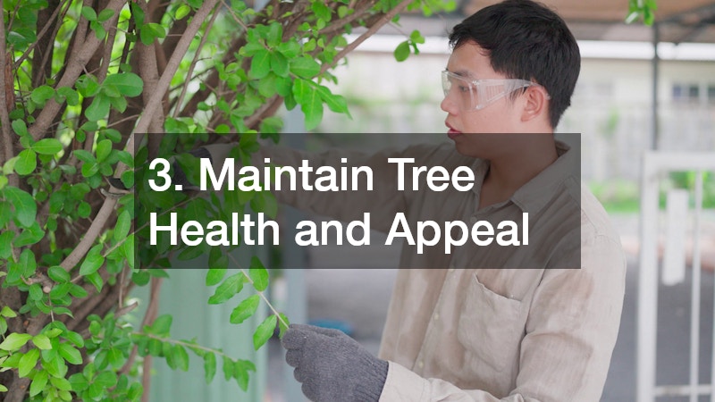 3. Maintain Tree Health and Appeal