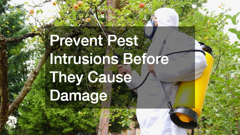 Prevent Pest Intrusions Before They Cause Damage