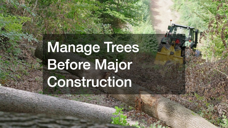 Manage Trees Before Major Construction