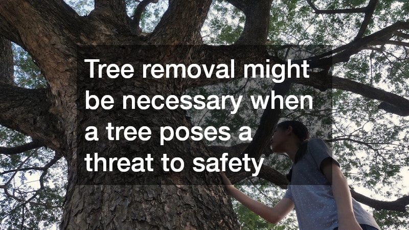 Tree removal might be necessary when a tree poses a threat to safety